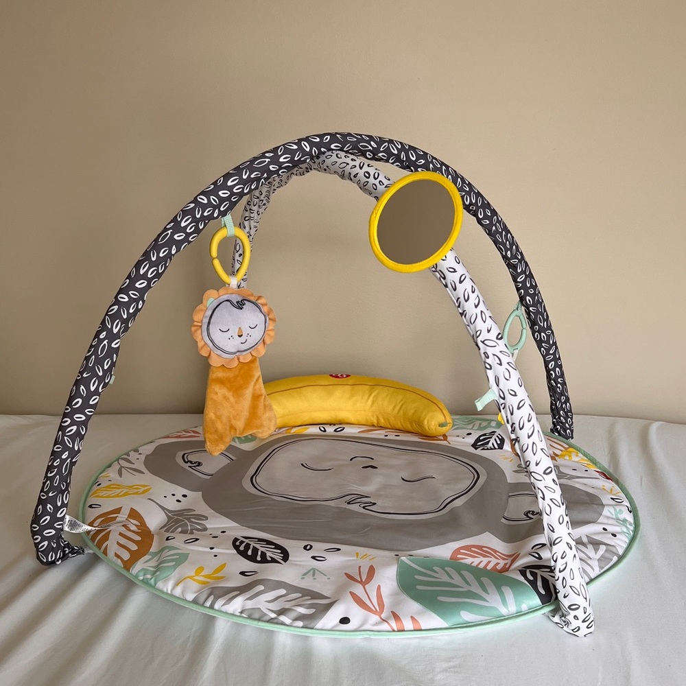 Fisher-price baby play mat. Great for boy or girl